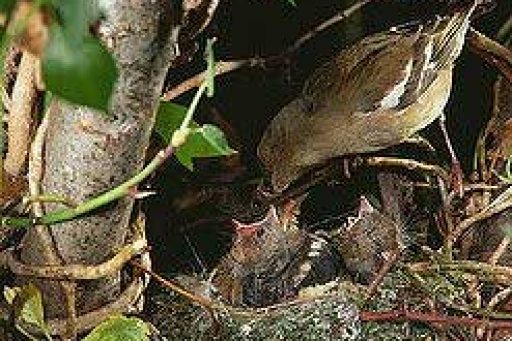 Met vallen en opstaan !