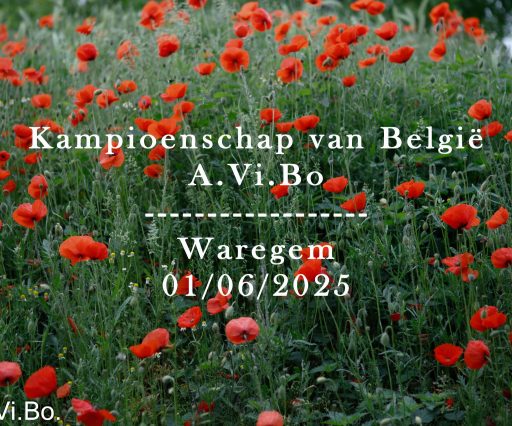 Kampioenschap van België 2025 Waregem