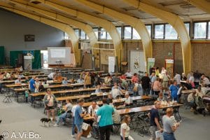 Kampioenschap van België 2025 Waregem