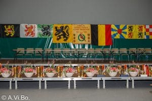 Kampioenschap van België 2025 Waregem