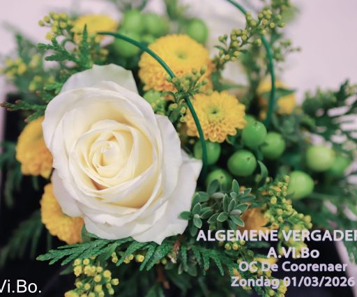 Algemene Vergadering 2026